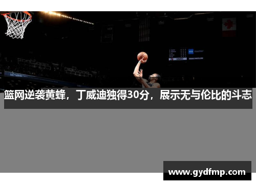 篮网逆袭黄蜂，丁威迪独得30分，展示无与伦比的斗志